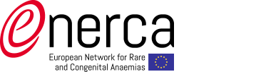 ENERCA logo