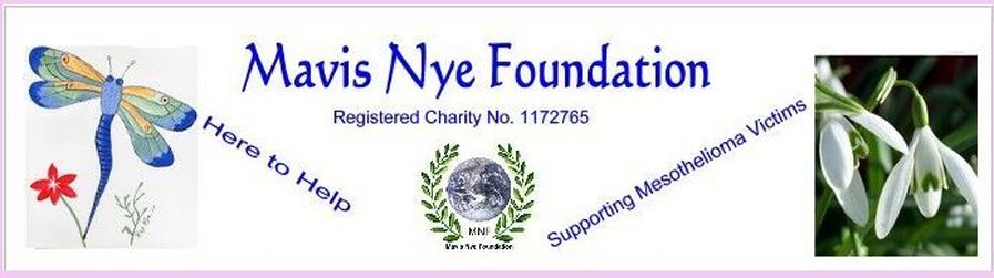Mavis Nye Foundation logo