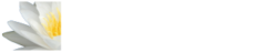 The Urostomy Association logo