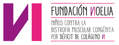 Fundación Noelia: Inicio logo