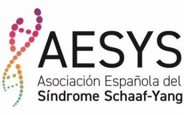 Asociación Española del Síndrome de Schaaf-Yang: AESYS logo