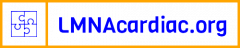 LMNA cardiac logo