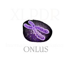 XLPDR International Association logo