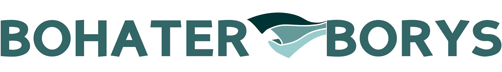 Bohater Borys logo